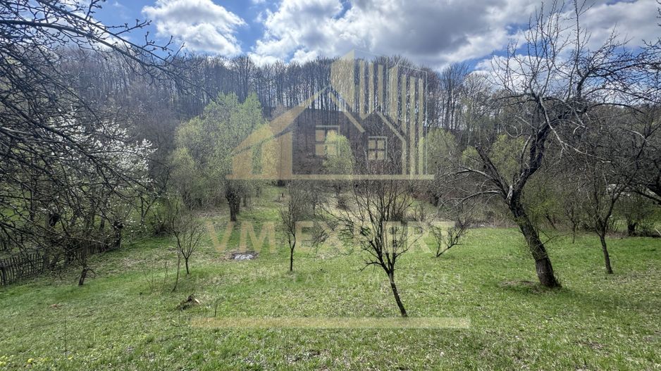 TEREN INTRAVILAN 4365 MP POENARII DE MUȘCEL  JUDEȚUL ARGES - Poză 17