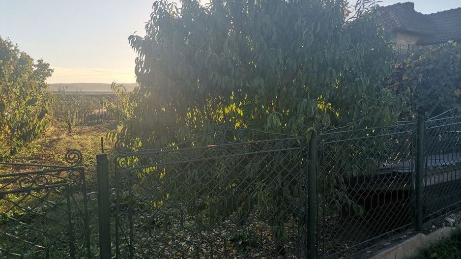 Teren cu casa si anexe in Budeasa Mare - Poză 5