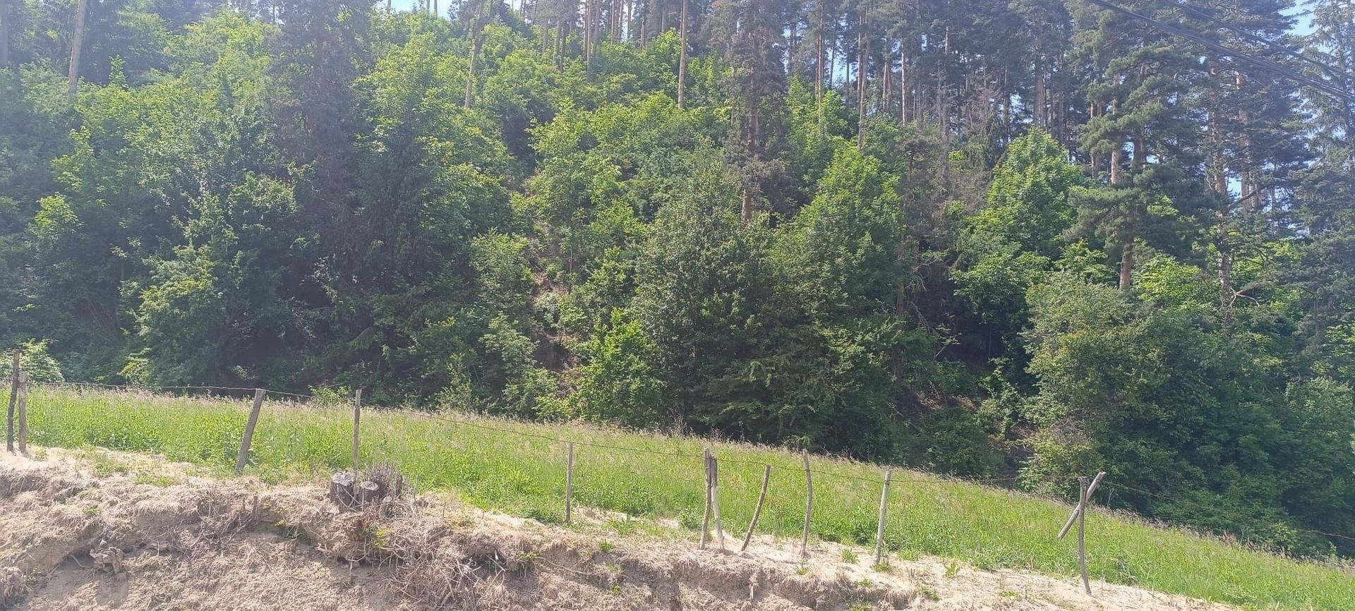 Teren cu priveliste,Mun. Sacele-Livezii - Poză 3