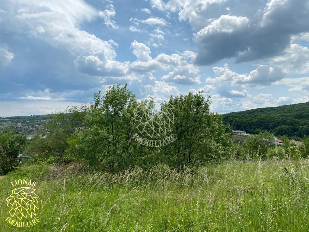 Teren intravilan 2800 mp cu utilitati-ideal case-Valea Ghinzii - Poză 8