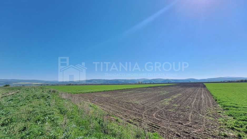 Teren extravilan, 8700 mp, pretabil agricultură sau investiție - Bod - Poză 9