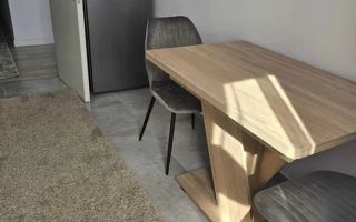 Apartament 2 Camere CONEST EVOLUTION - 500 euro - Poză 4