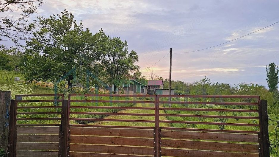 Casă cu teren intravilan de 5000 mp, livadă tânără și vie productivă, în Roșu, comuna Răducăneni, județul Iași - Poză 9