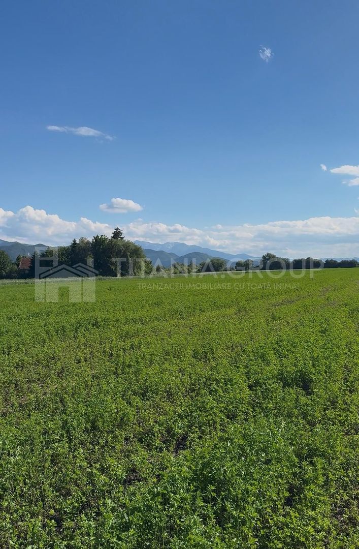 Teren intravilan 3h, Stupini -Str. Oitelor, asfalt si utilitati la 70 m - Poză 12
