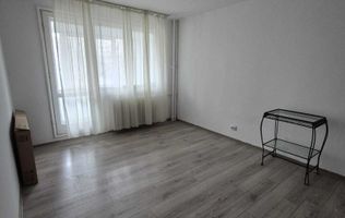 Apartament 2 camere zona Salajan - Dumbrava Noua