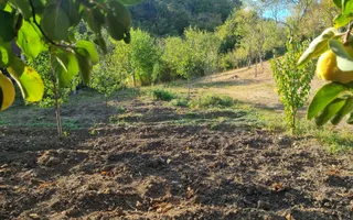 Casă renovata cu teren generos | Anexe | Gurasada | Hunedoara - Poză 43