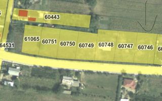 Teren de vânzare în Tutora, județul Iași – 1.050 mp, deschidere la DJ249 - Poză 3