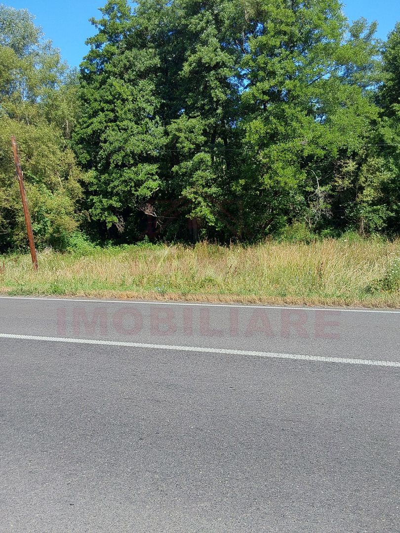 TEREN INTRAVILAN ÎN MARGA-LA DN68 JUD.CARAȘ-SEVERIN - Poză 2