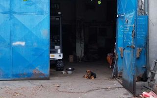 Constructie hala garaj plus teren ,   300 mp,  Sos. Fundeni, Stradal - Poză 2