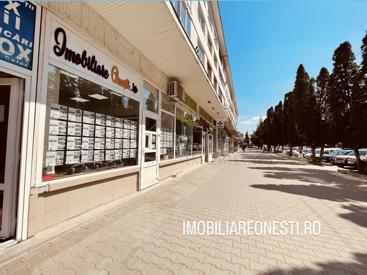 Teren in Onesti 10000 mp - Poză 3