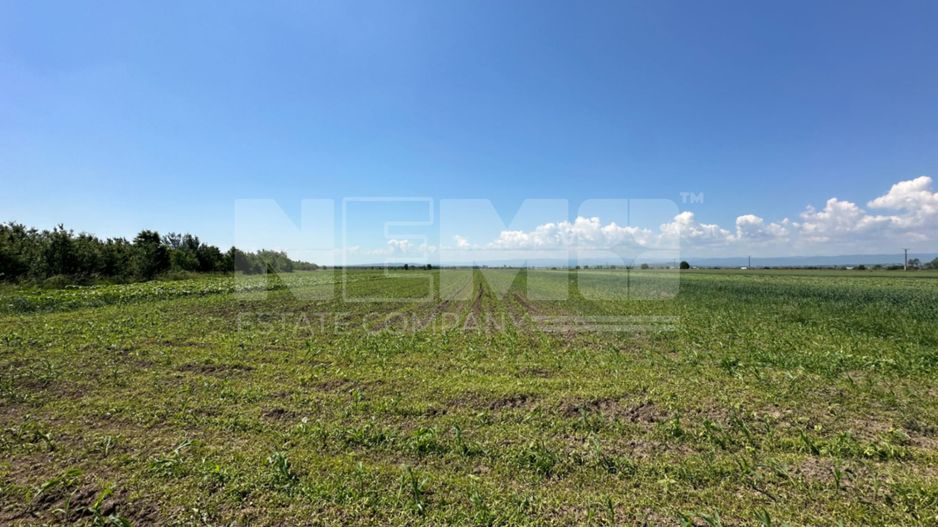 Teren Extravilan | 52 ari | Maneuti | Front 26 m | 55.500 € - Poză 6