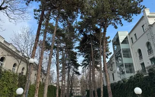 Spațiu Comercial de Lux – Kiseleff *376mp - Poză 15