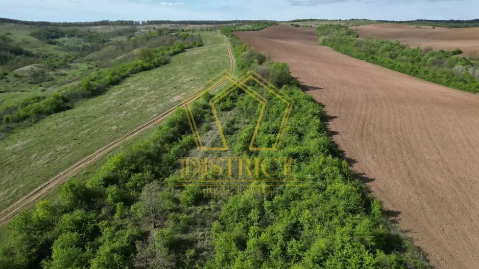 Casa de vacanta cu teren si padure de 3.8ha | Nadas | Herneacova - Poză 10