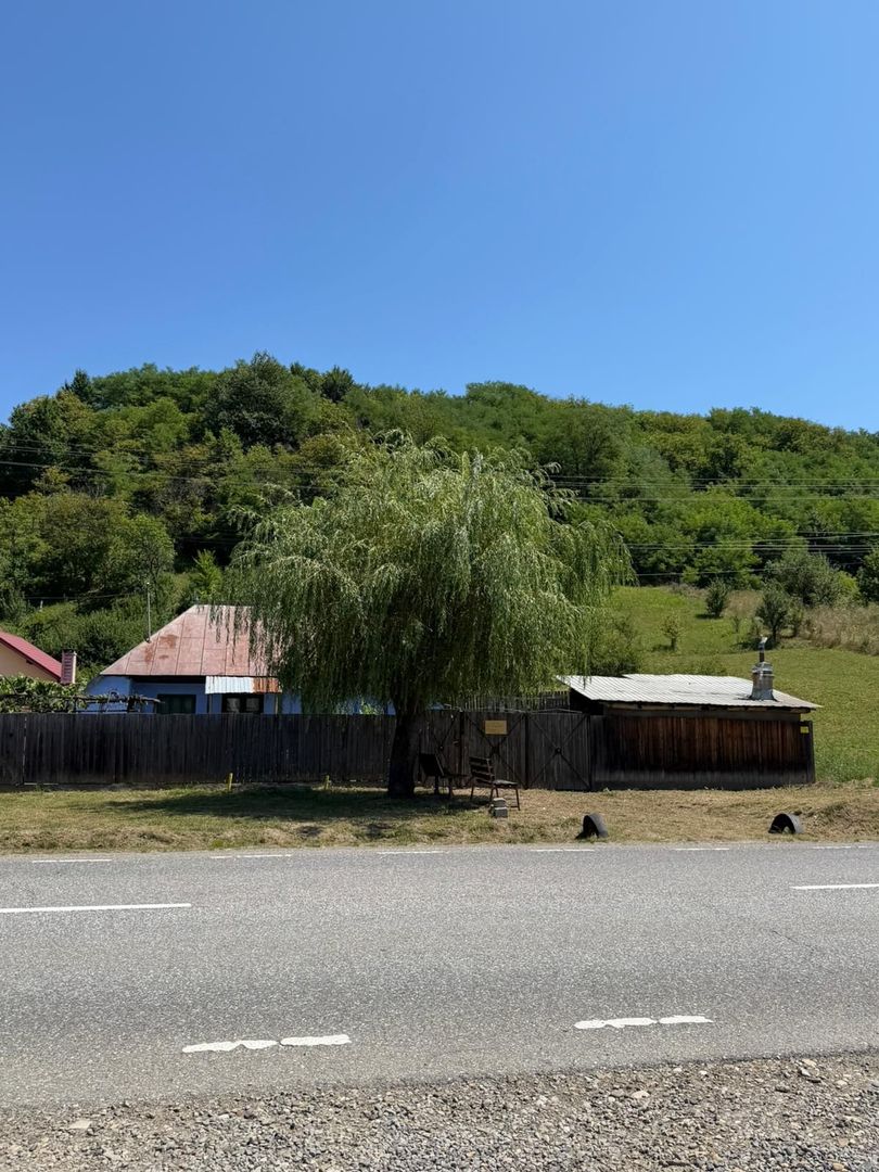 🏡 CASĂ BĂTRÂNEASCĂ DE VÂNZARE – SĂNDULENI,  💥 Comision 0% - Poză 6