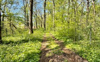 TEREN 7000 MP| DESCHIDERE 40 ML | INTRAVILAN-PADURE | POT 5% | TEREN UNIC | - Poză 4