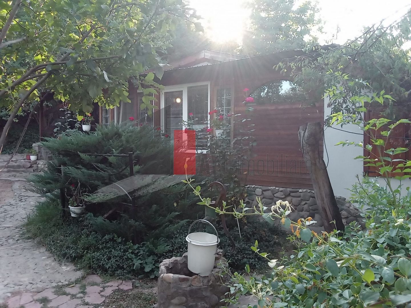 Vânzare teren intravilan Dărăști-Vlașca - Poză 10