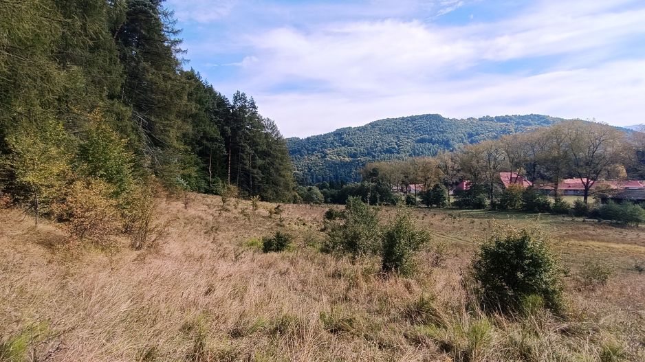 teren in zona Bradet-Sacele - Poză 6