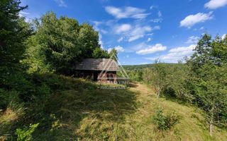 Casa,anexe si14.328 mp teren partial intravilan, com. Bulz, jud. Bihor - Poză 3