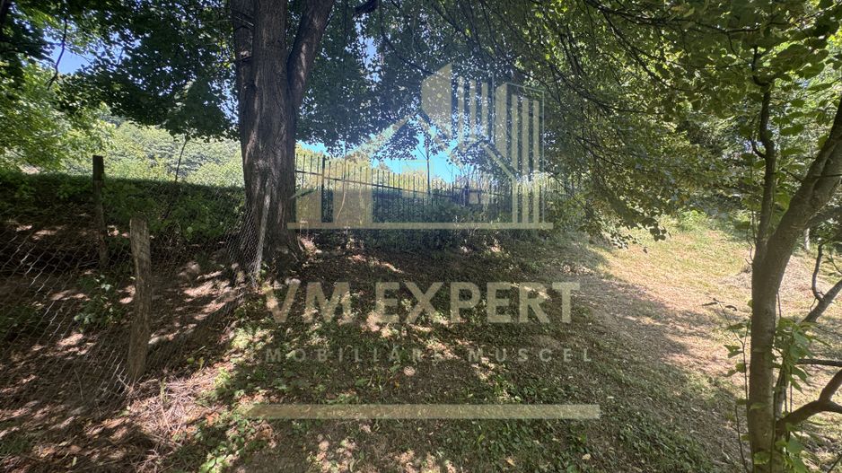 CASA 6 CAMERE TEREN 1005 MP  BUGHEA DE JOS ARGEȘ - Poză 30