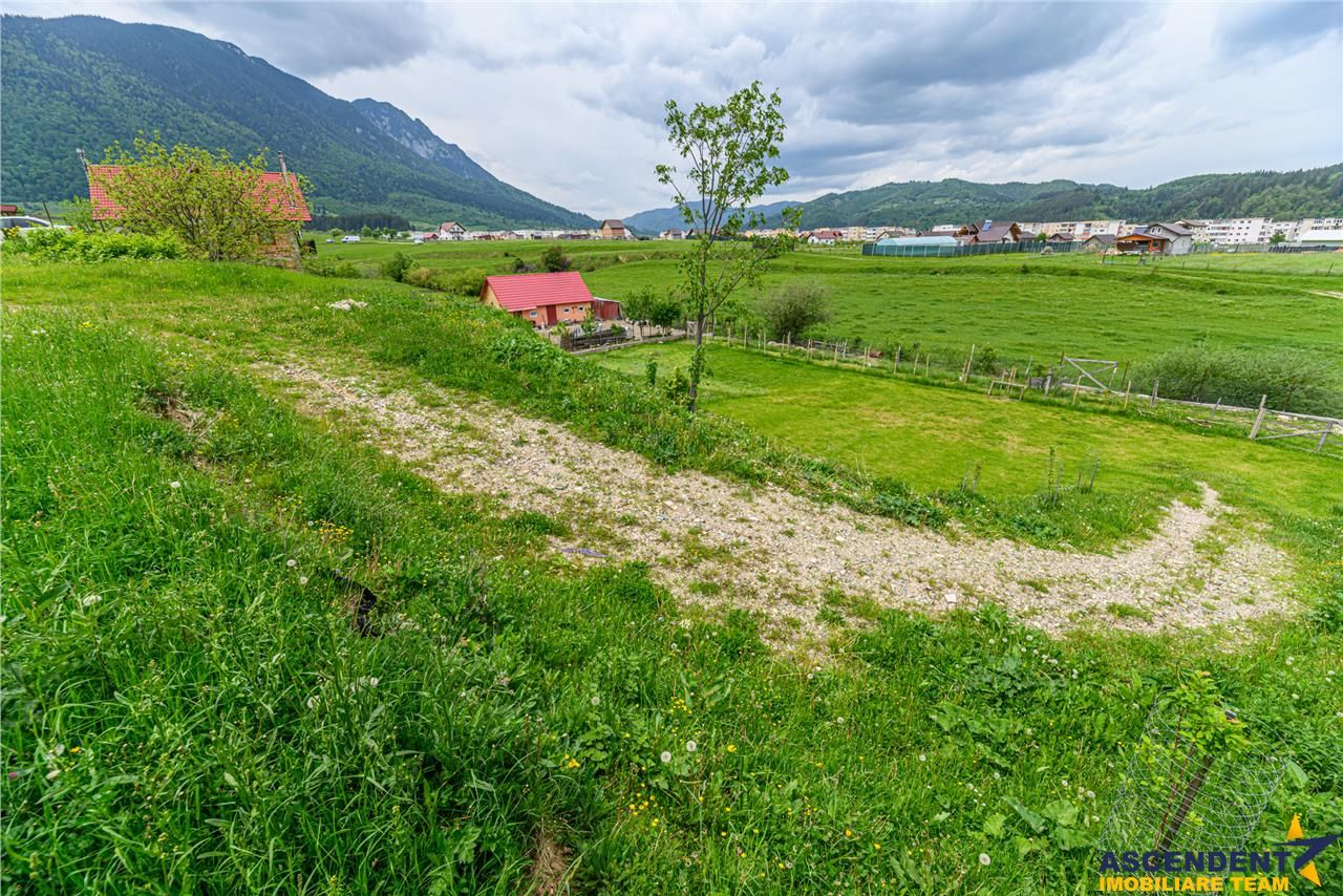 Teren intravilan, pe 1.500 mp, deschidere la asfalt, Zarnesti, Brasov - Poză 4
