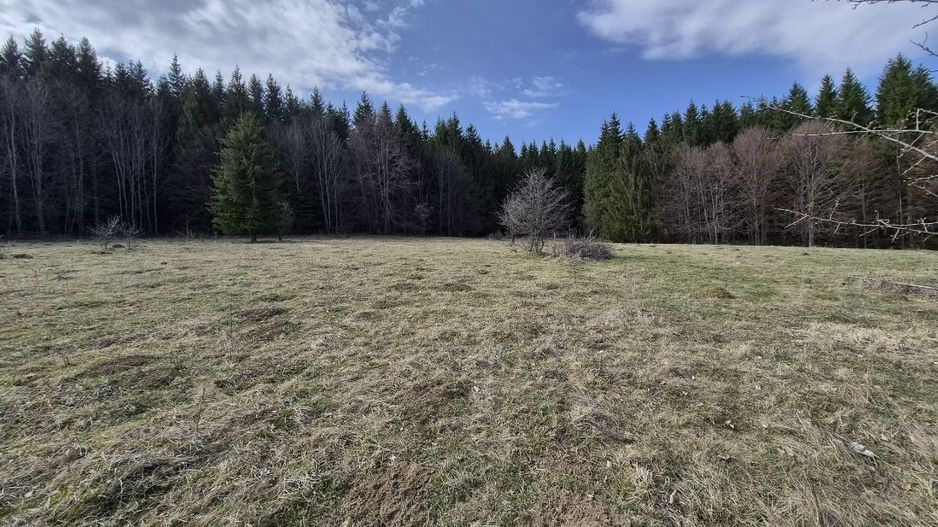 Teren intravilan la baza pădurii Valea Doftanei sat Traisteni (poduri) - Poză 5