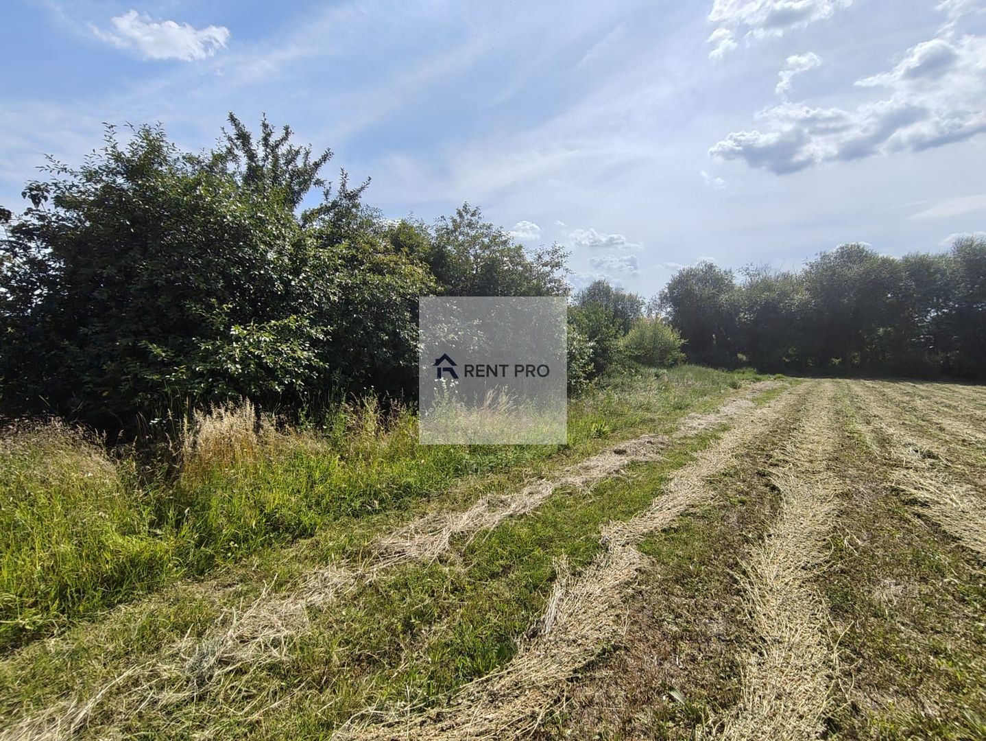 Teren de 11.000 mp cu casă și teren agricol | La 40 km de București | - Poză 15