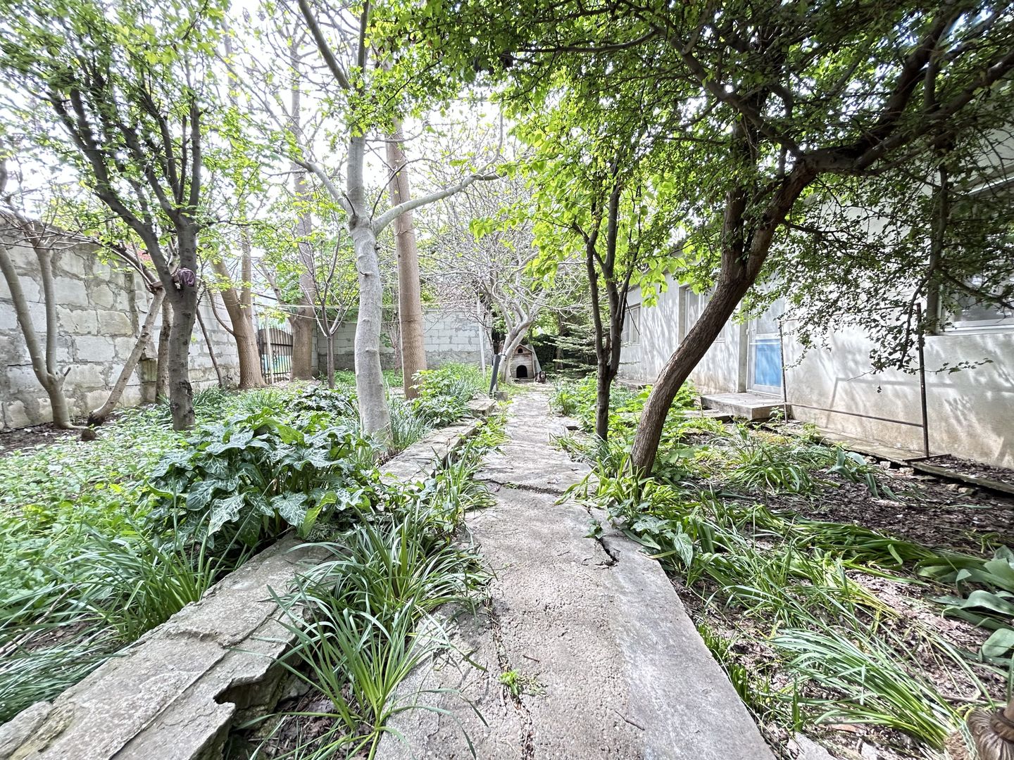 Casa P+1 ideala pentru 2 familii sau pentru inchiriere – zona centrala - Poză 24