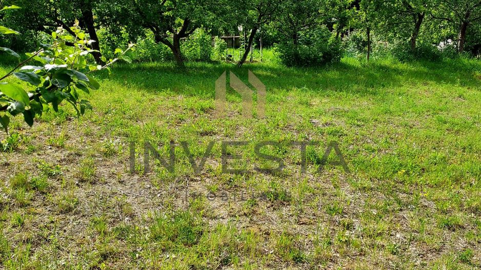 Teren la liziera padurii! - Poză 5