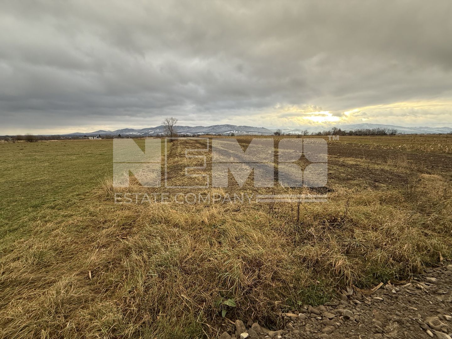 Teren 80 Ari | Vicovu de Sus – Bahna | Front 16.5 - Poză 5