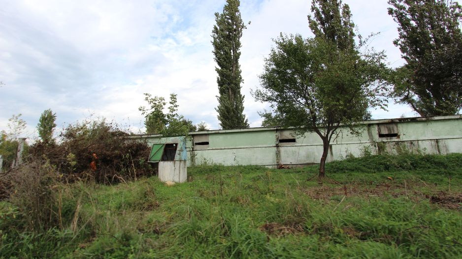 Vanzare hale Mosnita Noua-fosta Ferma 7 - Poză 40