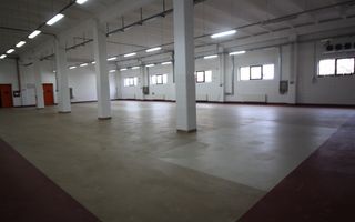 Hala productie    - Calea Torontalului de vanzare - Poză 7