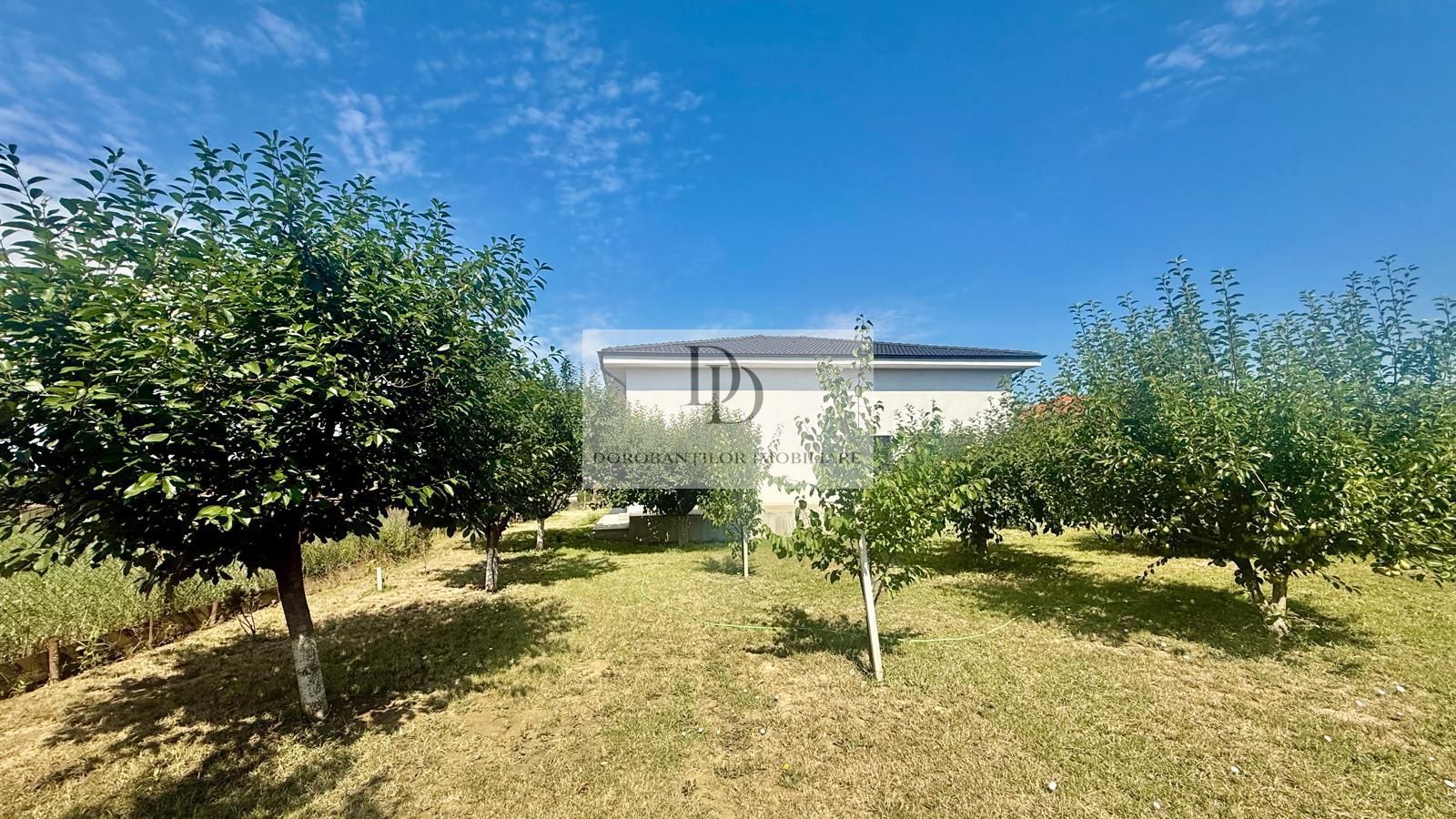 Vanzare 3 case | Teren 1400 mp | Garaj auto + Anexe - Poză 20