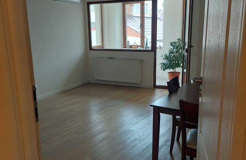 2 camere | birou - punct de lucru | Vasile Lascar | Dacia - Poză 4