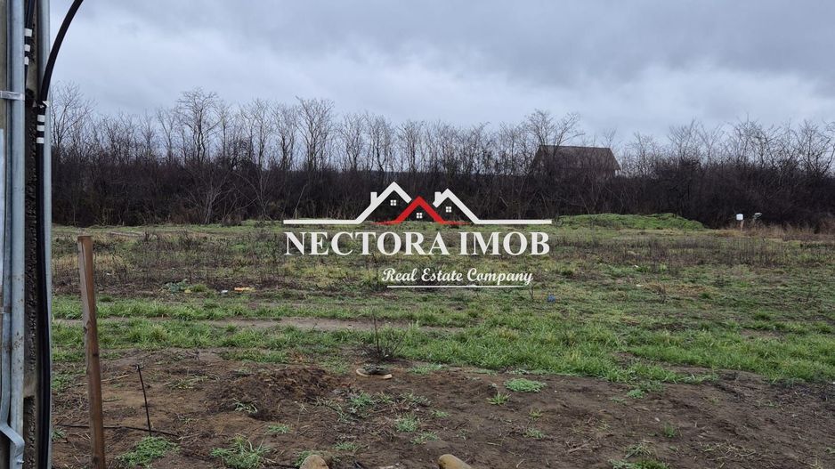 NECTORA IMOB-Teren Intravilan 501 mp, cu front 19ml, Nojorid,Utilitati - Poză 2