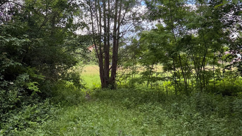 Teren intravilan 683 mp deschidere la strada asfaltata ! - Poză 20