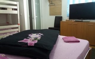 Cabană în Rânca cu 500 mp teren și panoramă impresionantă - Poză 11