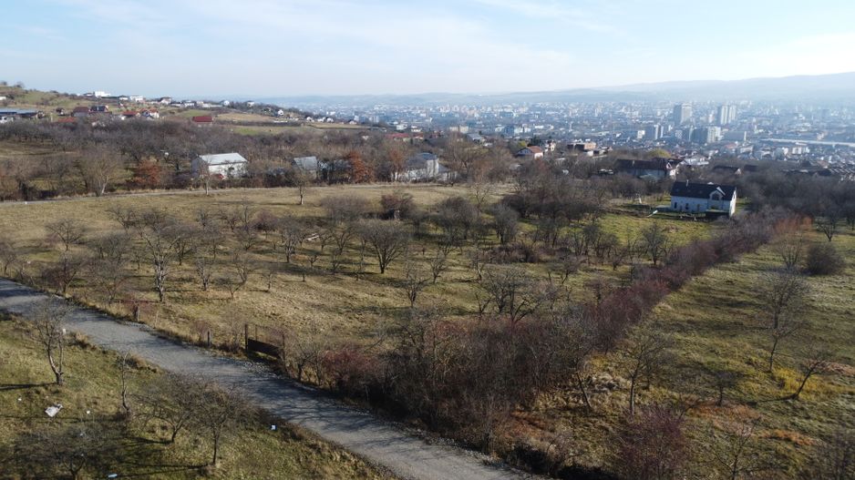 Teren 20.146 mp Dâmbu Rotund (Lomb).Extravilan.Potențial rezidențial - Poză 4
