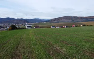 Teren intravilan 10.000 mp Gârcina lângă Sala Polivalenta Piatra Neamț - Poză 11