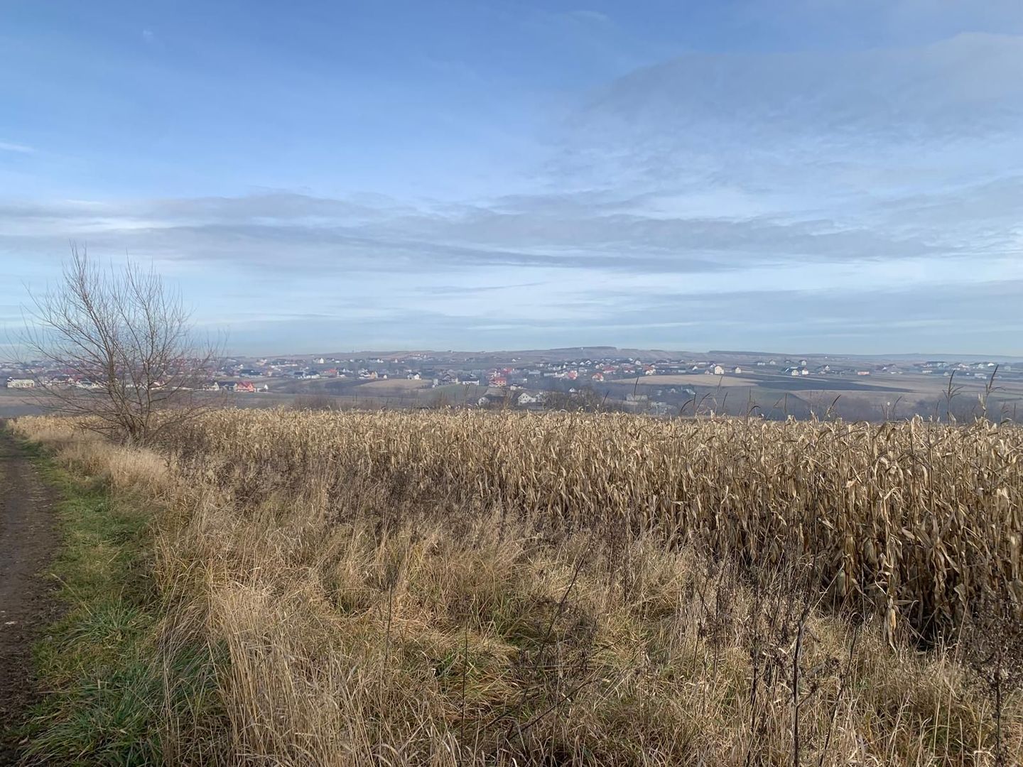 Teren intravilan de vânzare | Cajvana | 7.800 mp - Poză 3