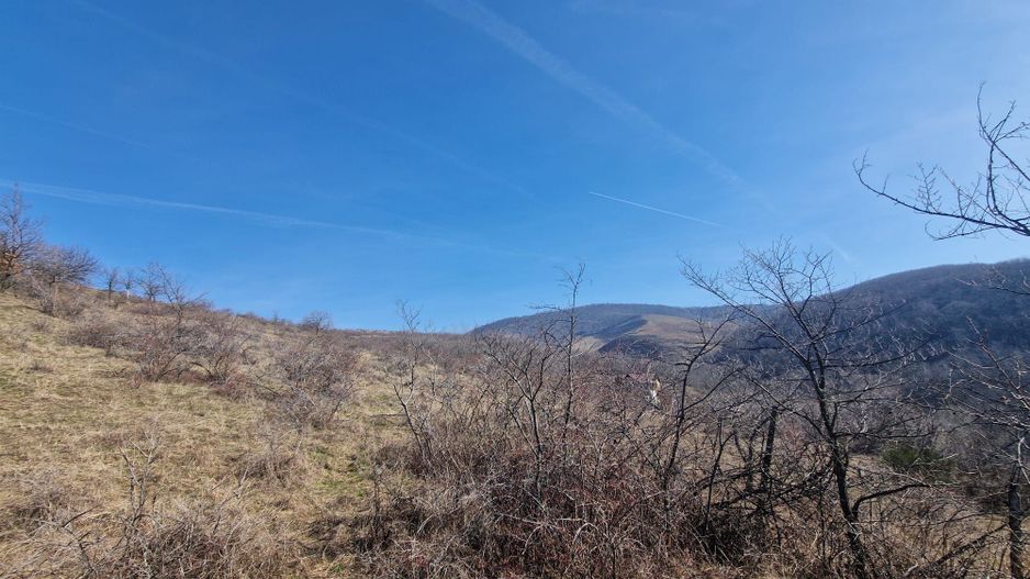 Teren extravilan, 23 400 mp, Cuvin (Ghioroc) - Poză 2