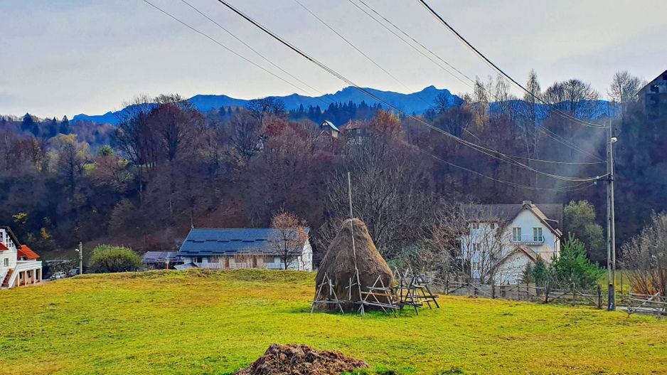 Bran Moeciu, pretabil pensiune sau dezvoltare imobiliară - Poză 5