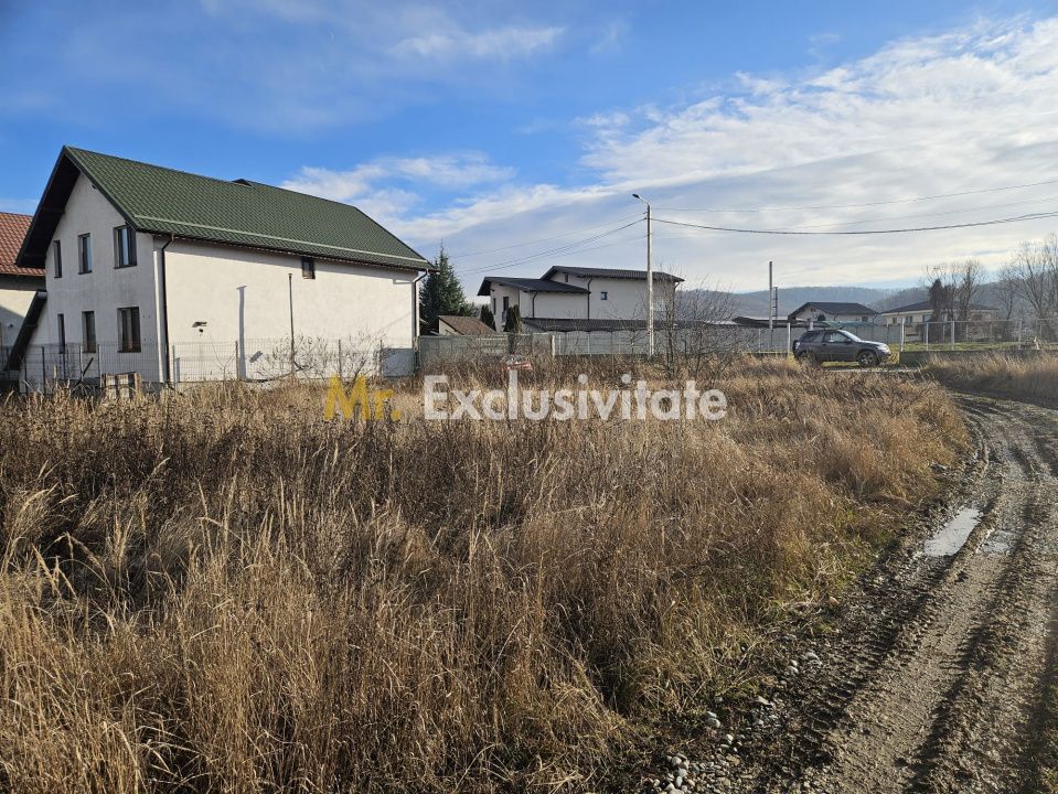 Teren 1.250 mp, toate utilitatile – Bascov, Valea Ursului, AG - Poză 6