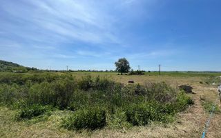 Teren 14500 MP in Sabisa langa Soseaua Principala - Poză 3