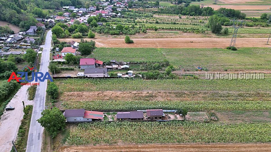 AZURA Imobiliare - Teren Budeasa Galasesti Calotesti - Poză 11