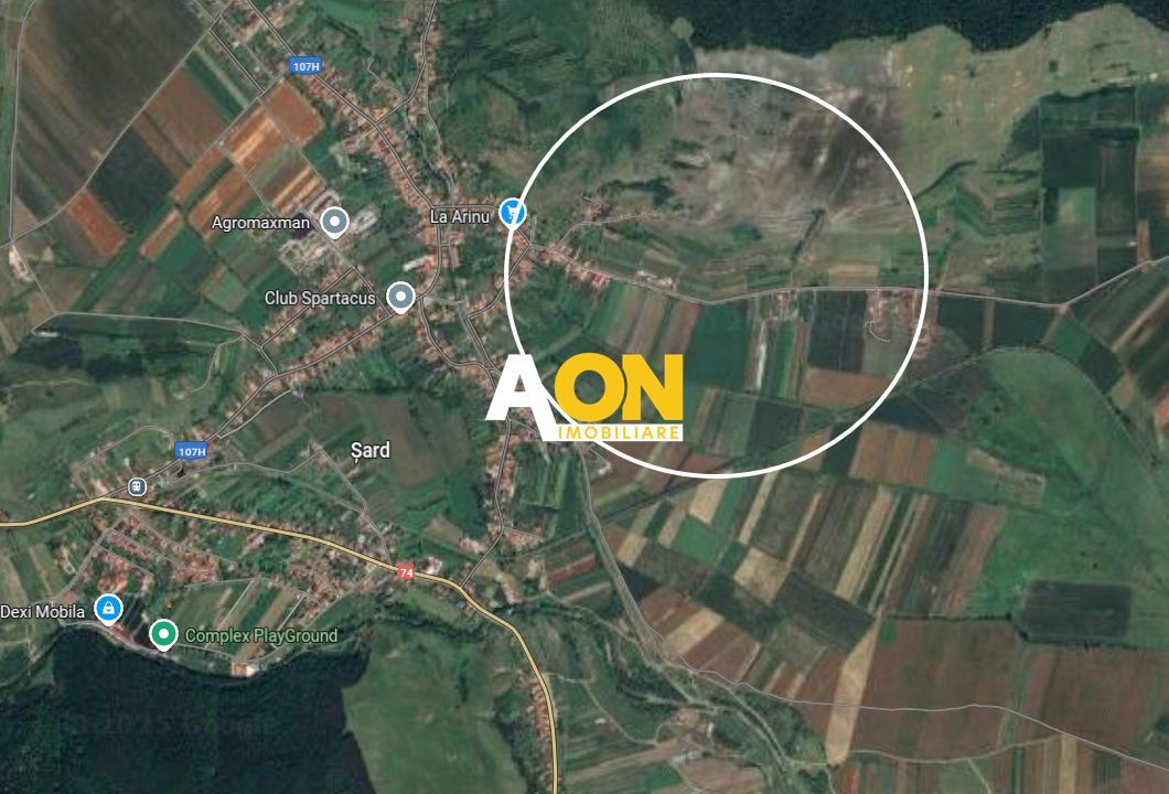 Teren Extravilan, 2900mp, Zona Șard - Poză 1