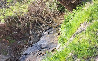 Teren extravilan de vanzare, Bistrita Bargaului- 10 minute de Colibita - Poză 4