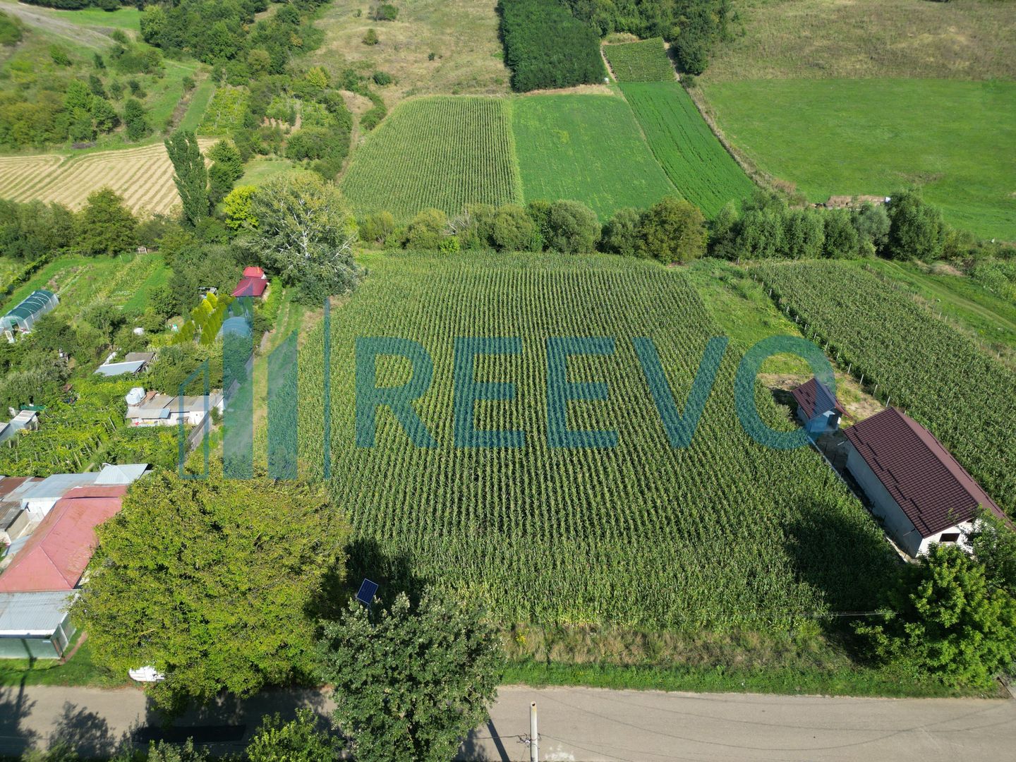 Teren intravilan de vânzare, Sat Bogdănști, Com. Traian - Poză 3