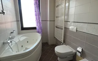 IANCU NICOLAE  135 mp Utili | Living 41 mp | 2 Terase 2 Locuri Parcare - Poză 14