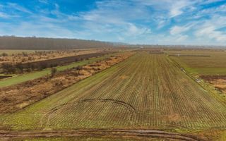 Teren intravilan 5040 mp, deschidere dubla - Poză 5