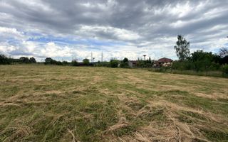 DOUĂ CORPURI DE CASĂ TEREN INTRAVILAN 6997 MP BUGHEA DE SUS ARGEȘ - Poză 4